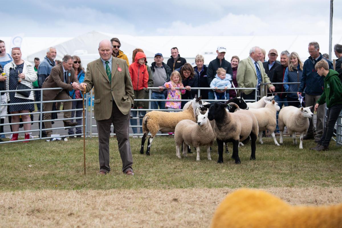 The crowd look on as Forrest Irving Judges the overall inter-breed sheep at Haddington Show Ref:RH020722074  Rob Haining / The Scottish Farmer...