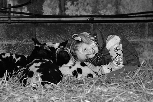 Gillian Robb - Molly having a snuggle with her Dutch Spotted lambs (Photo By Emma Murdoch)