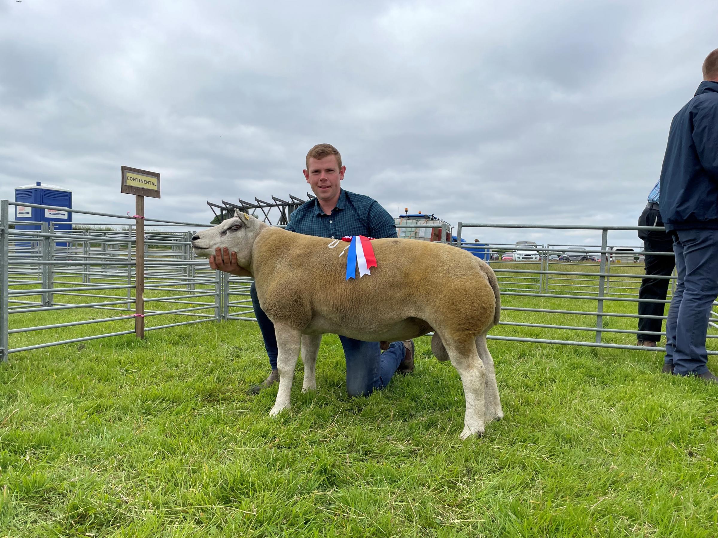 Standing pure bred continental champion was this Beltex ram from J Hodge and C Cuthertson