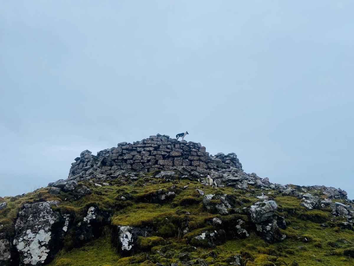 Megan Berryman - A sheep look out point - Isle of Mull