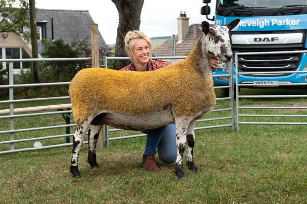 The Scottish Farmer: The Thornborrows took the reserve inter-breed sheep title with their crossing type Blue Faced Leicester Ref:RH230722022 Rob Haining / The Scottish Farmer...