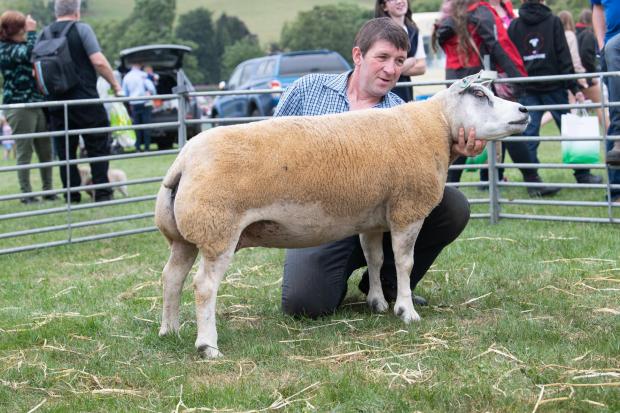 The Scottish Farmer: The Beltex champion was from the Harrison and Taylor team Ref:RH230722024 Rob Haining / The Scottish Farmer...