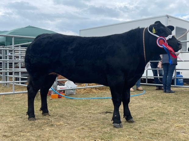 The Scottish Farmer: The two-year-old black Limousin cross heifer, The Bed Hopper, lifted the show championship for John Smith