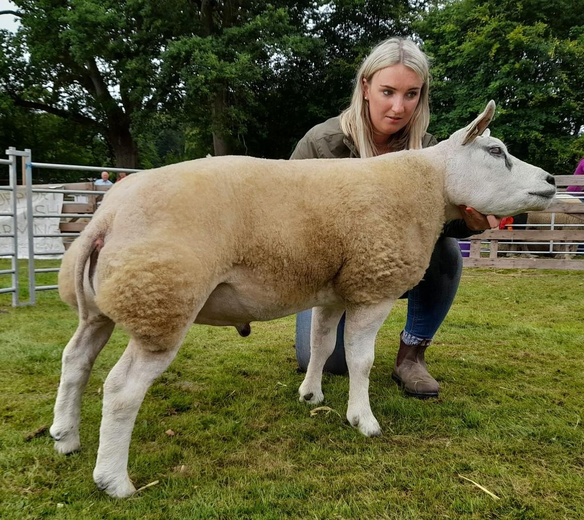 Champion Beltex and inter-breed sheep from Kirsty and Andrew Morton