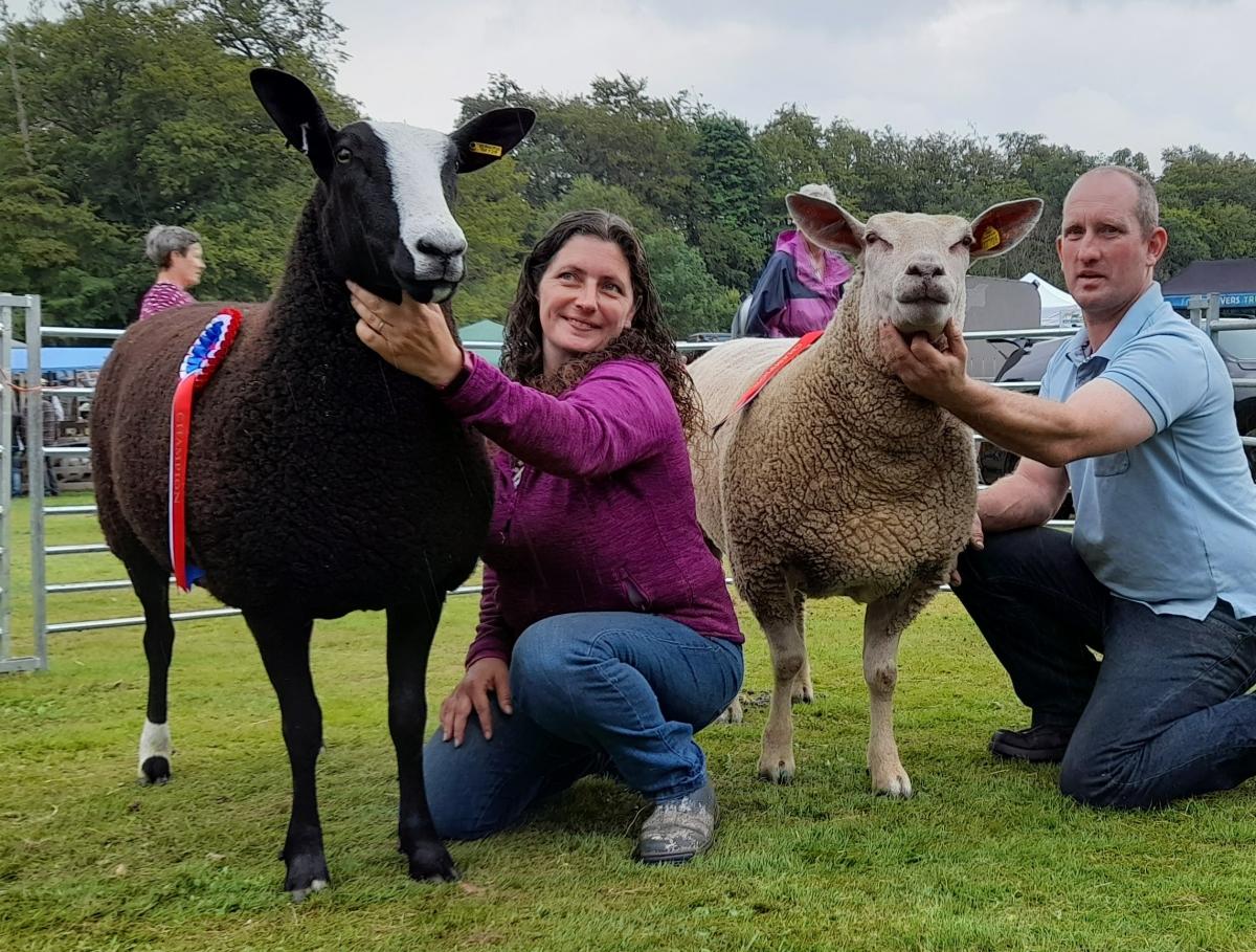 Nicola and Struan Henderson won the championship in the Zwartbles and the any other breed section with a Charollais