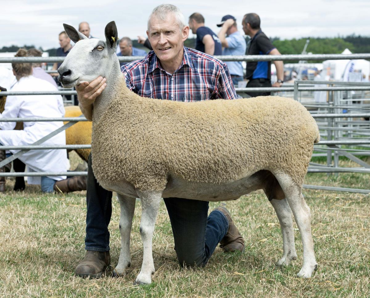 Rodney Blackhall won several championships including the Bluefaced Leicester with this ewe