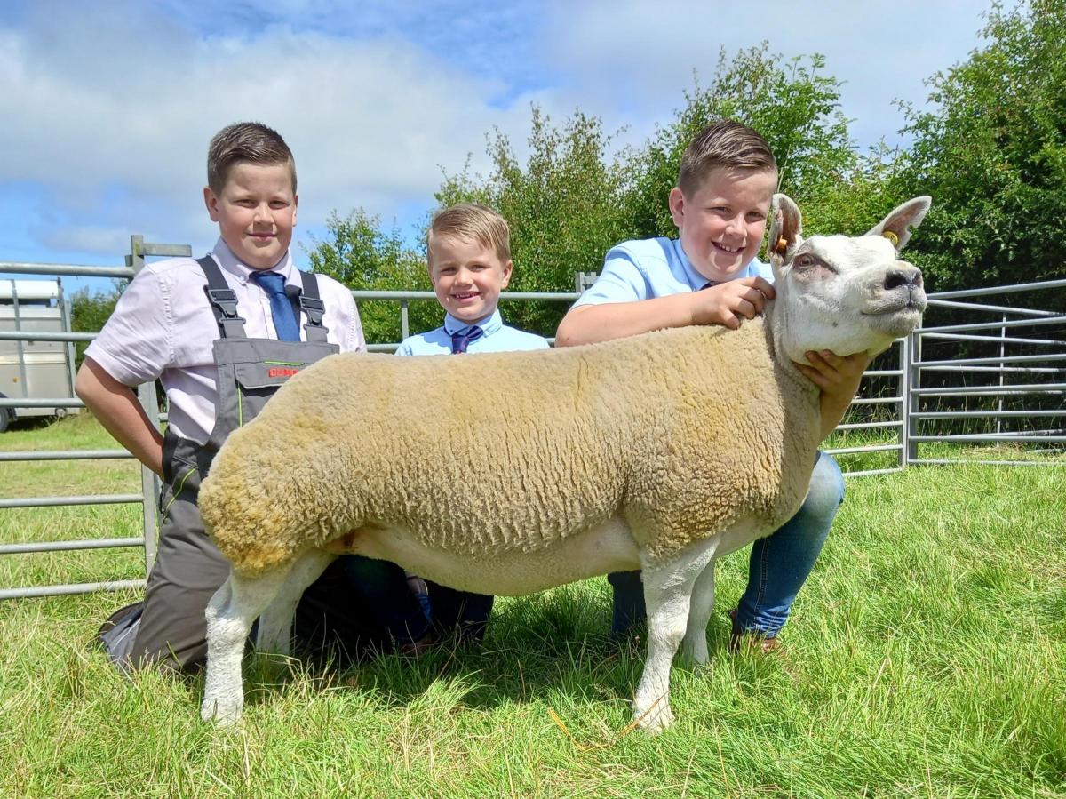 Bluefaced Leicester supreme and reserve inter-breed sheep from Matt Drummond