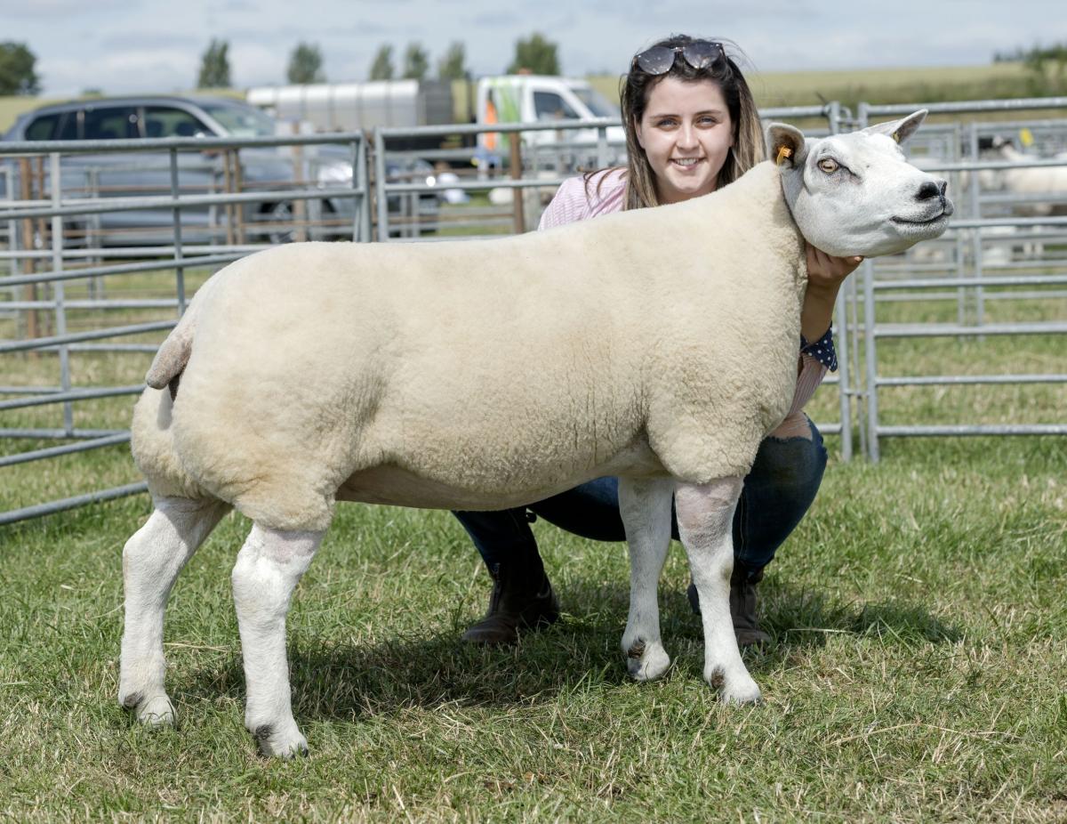 Pentland Fabewelous the Beltex supreme was overall sheep champion for the Burkes