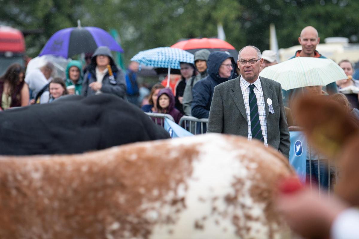 Crowd look on as Sam McClymont has his final walk round before tap out his overall cattle champion Ref:RH230722030  Rob Haining / The Scottish Farmer...