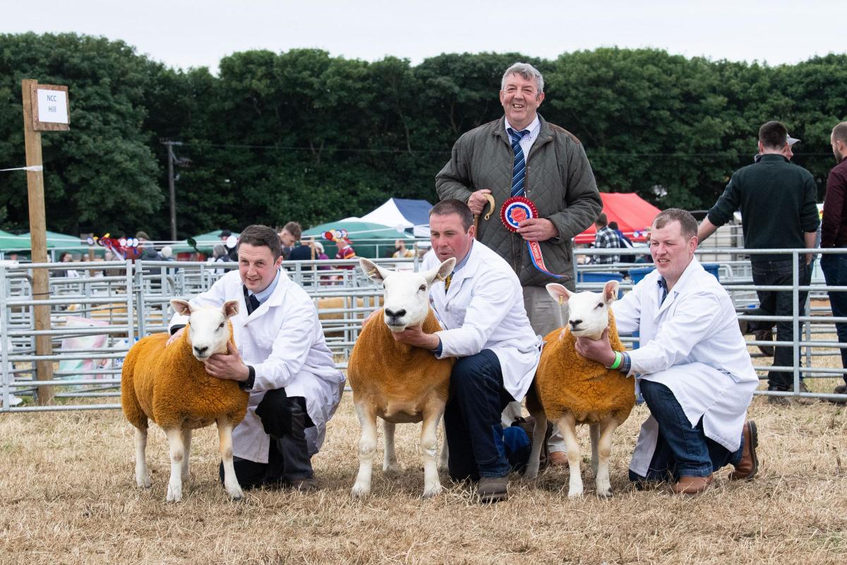 Overall sheep champion title went to the commercial sheep from the Barnetson family Ref:RH160722307  Rob Haining / The Scottish Farmer...