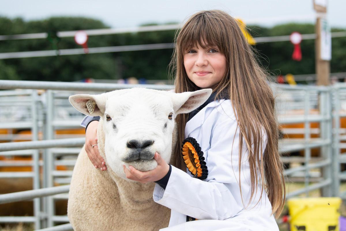 Reserve in the young handlers was Ava Bain(11) Ref:RH160722299  Rob Haining / The Scottish Farmer...
