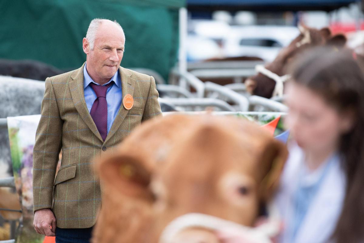 Robert Marshall casts his eye over the cattle entries at Caithness show  Ref:RH160722283  Rob Haining / The Scottish Farmer...