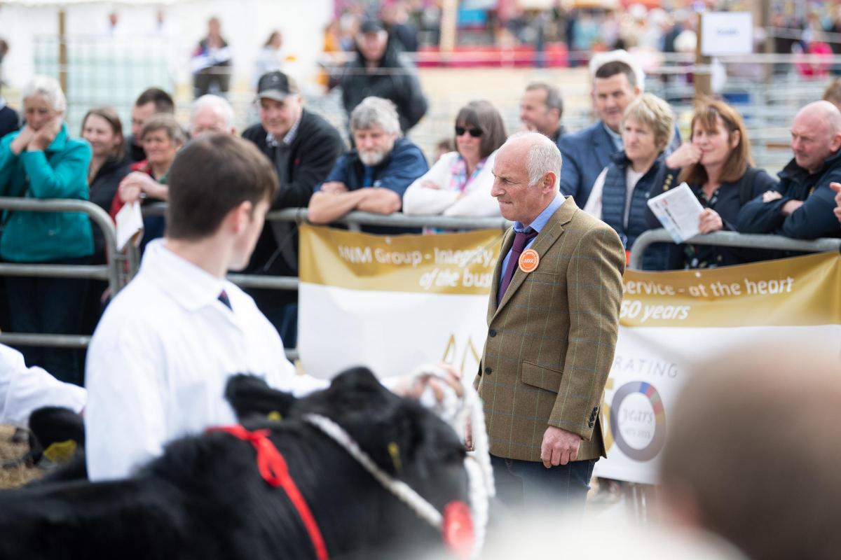 Robert Marshall deep in concentration during the commercial cattle judging at Caithness show  Ref:RH160722290  Rob Haining / The Scottish Farmer...