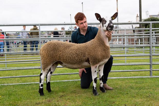 The Scottish Farmer: Blue Faced Leicester champion was from Andrew McQuistin Ref:RH270722032 Rob Haining / The Scottish Farmer...