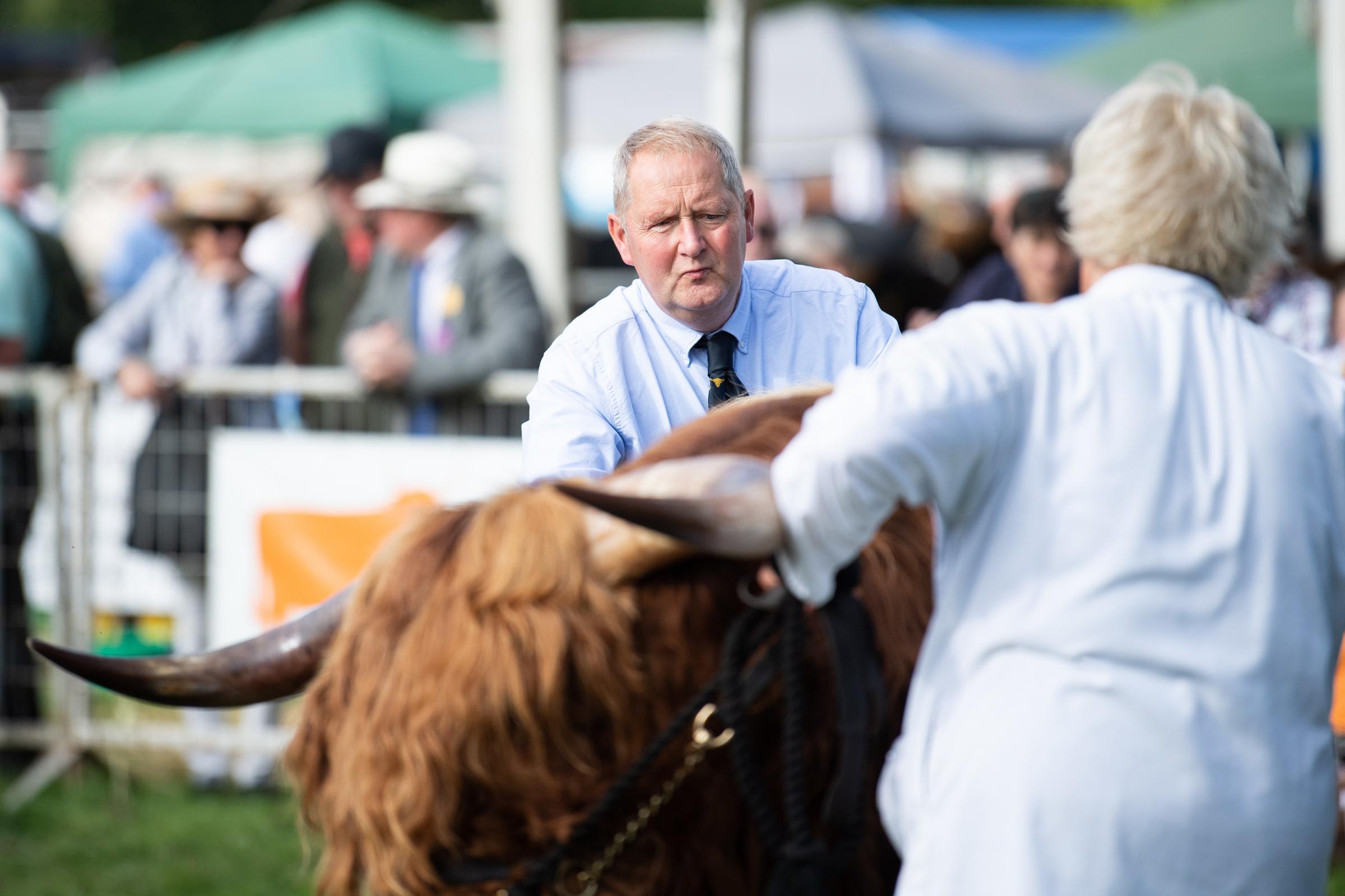 Jim McKechnie was the Jude for the National show of Highland cattle at Turriff show Ref:RH010822022 Rob Haining / The Scottish Farmer...