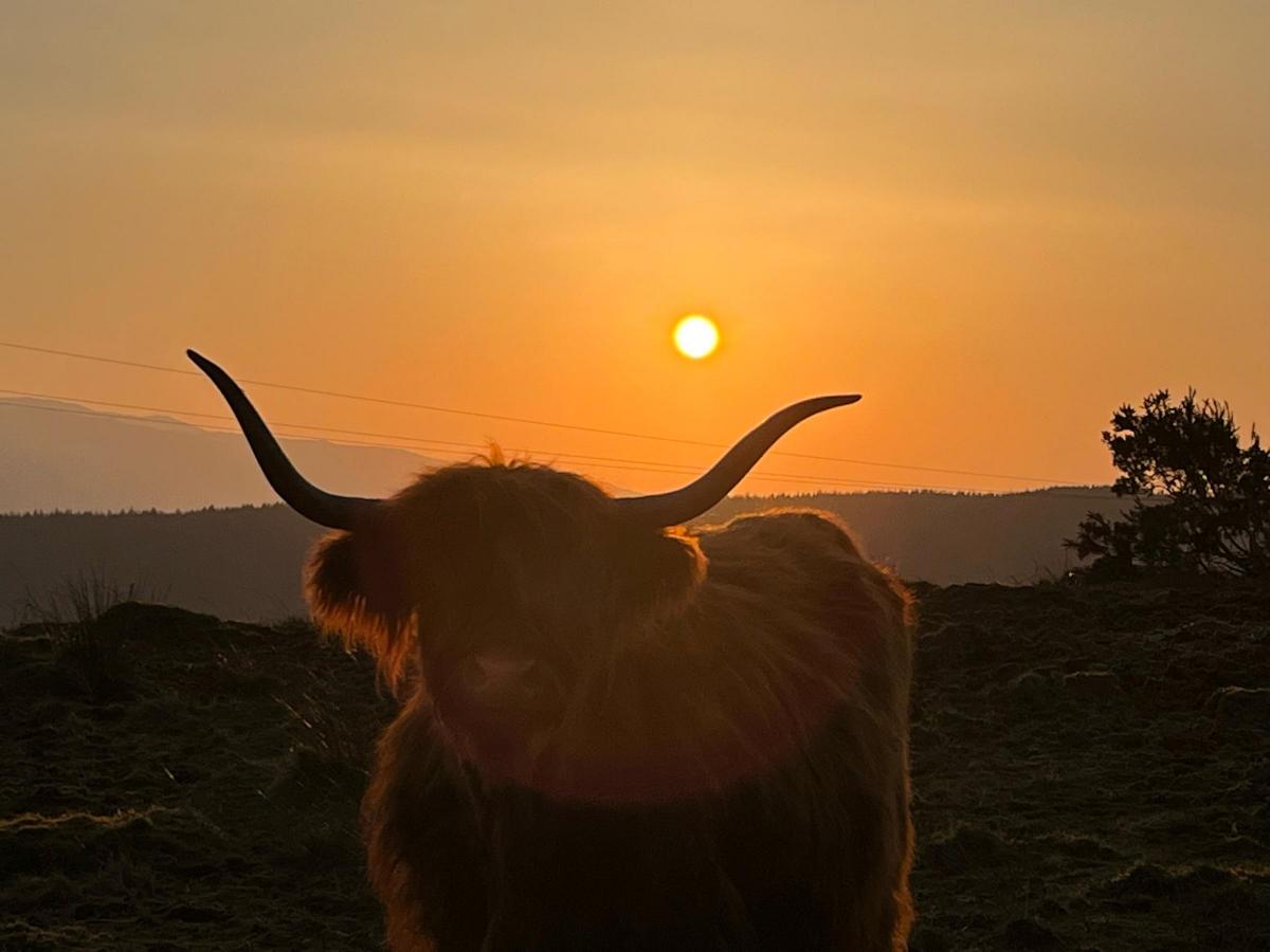 Kerrie MacGillivray - Morning Sunrise in Pennygown, Isle of Mull