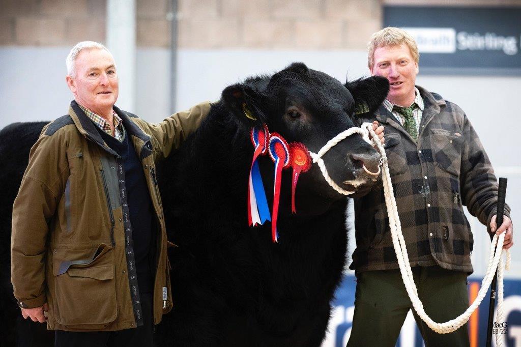 the most recent purchase has been the 38,000gns Blelack Dean Martin which was bought in Stirling in February from Neil and Graeme Massie’s dispersal