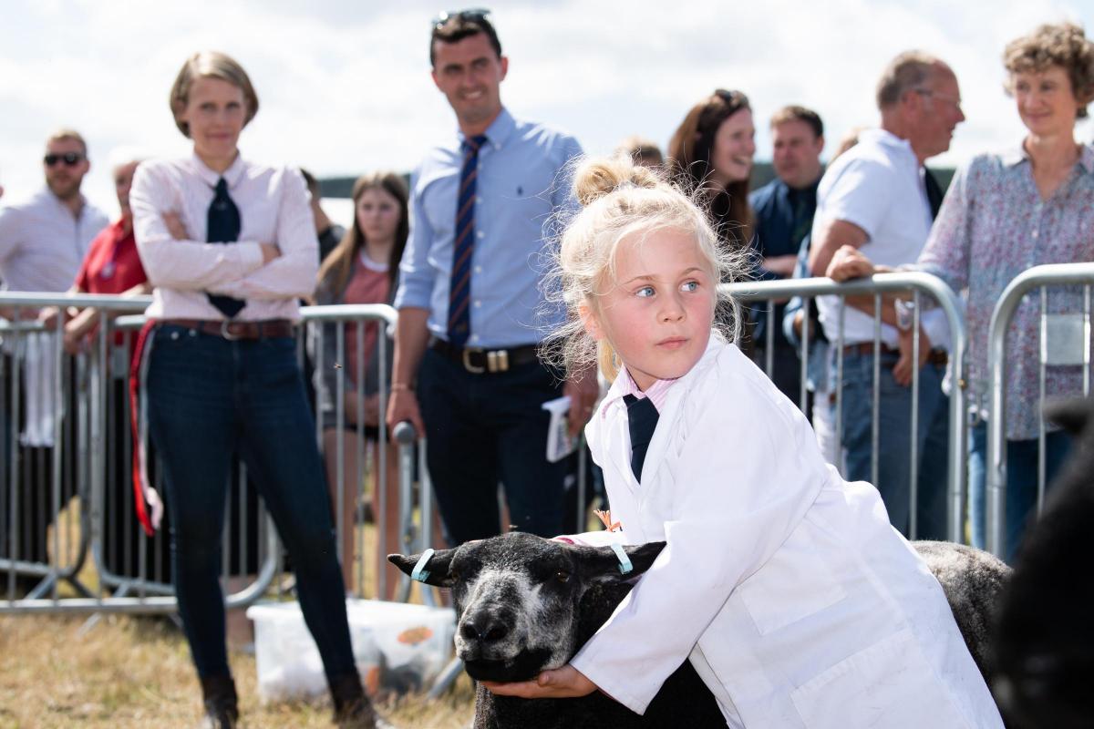 Erin Irvine keeps her eye on the judge during the overall young handlers championship Ref:RH010822035  Rob Haining / The Scottish Farmer...