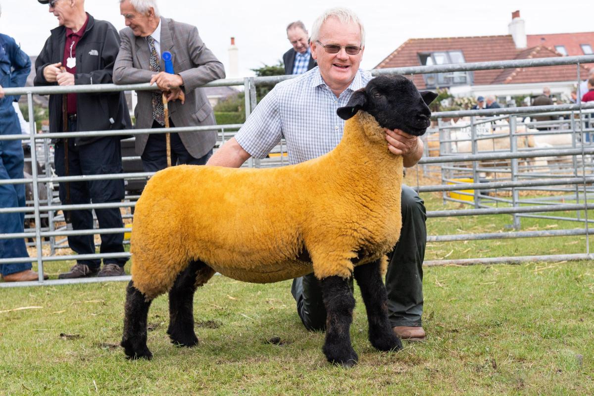 Suffolk champion from P and A Wilson Ref:RH270722036  Rob Haining / The Scottish Farmer...