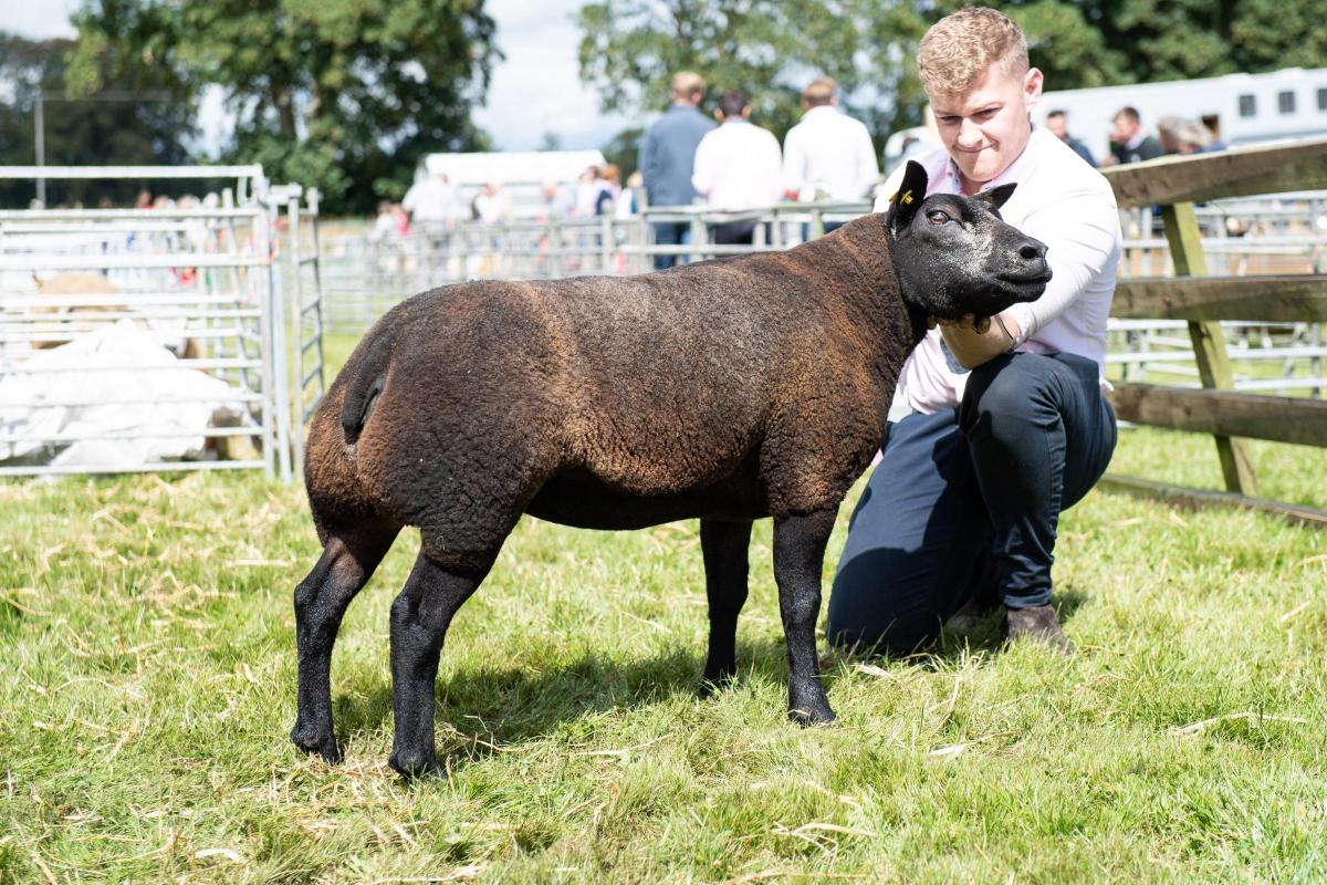 Any other Breed champion was from Fraser Forsyth Ref:RH040822038  Rob Haining / The Scottish Farmer...