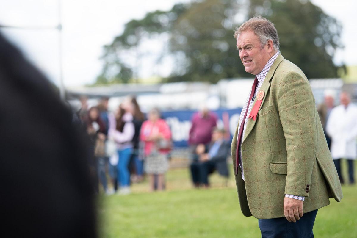 David Sloan takes his final walk round the champion of champions  line up at Stewartry show Ref:RH040822062  Rob Haining / The Scottish Farmer...