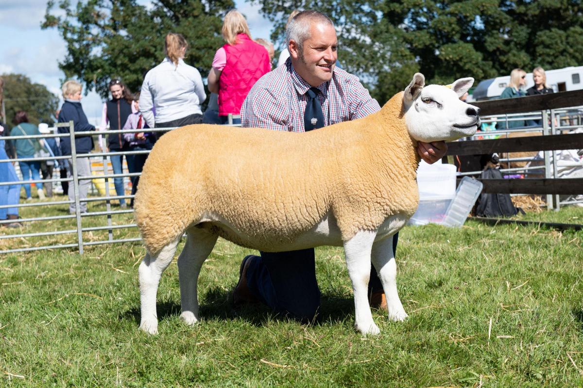 Inter-breed sheep champion was the Texel gimmer from Douganhill Ref:RH040822030  Rob Haining / The Scottish Farmer...