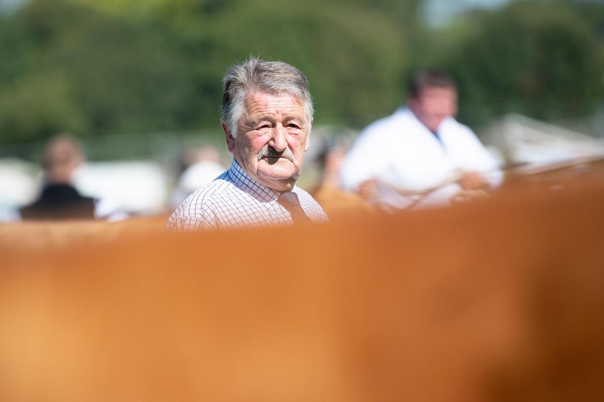 The sun was shinning for Matt Auld as he judged the Highland cattle section at Bute show  Ref:RH100822021  Rob Haining / The Scottish Farmer...