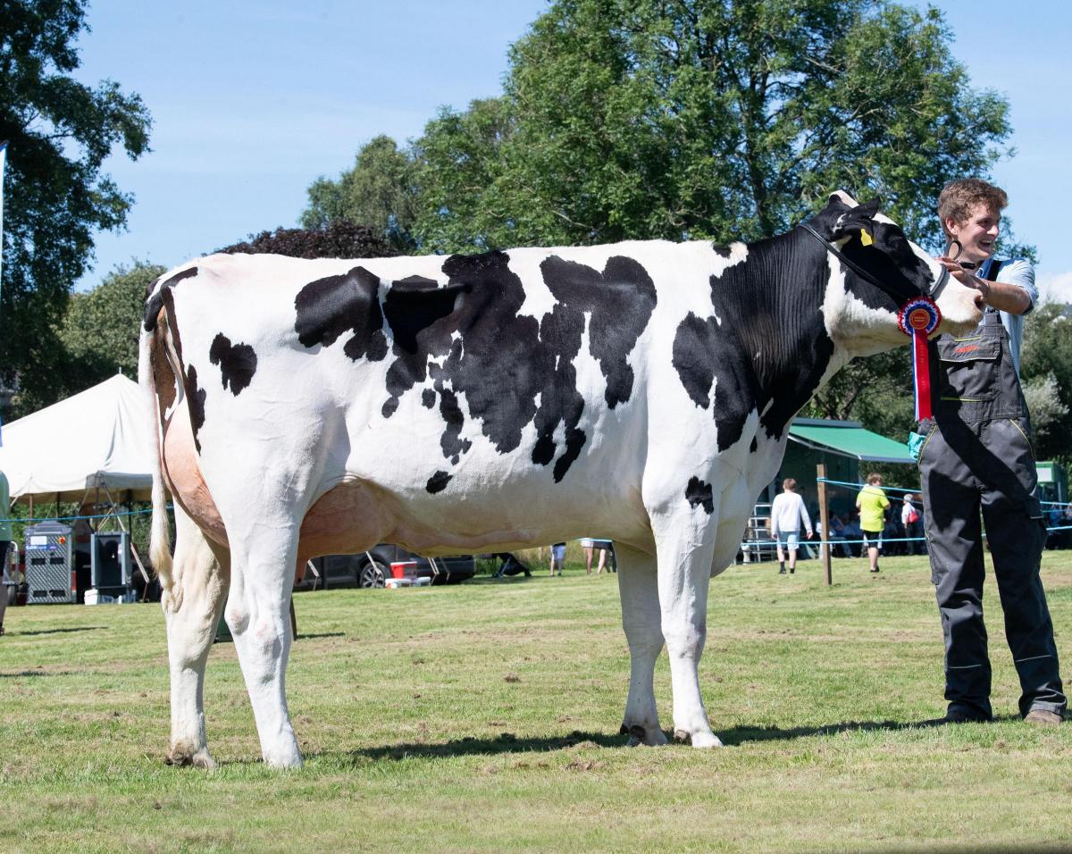 Topping the Holstein Friesian section for the Robertson family Ref:RH100822036  Rob Haining / The Scottish Farmer...