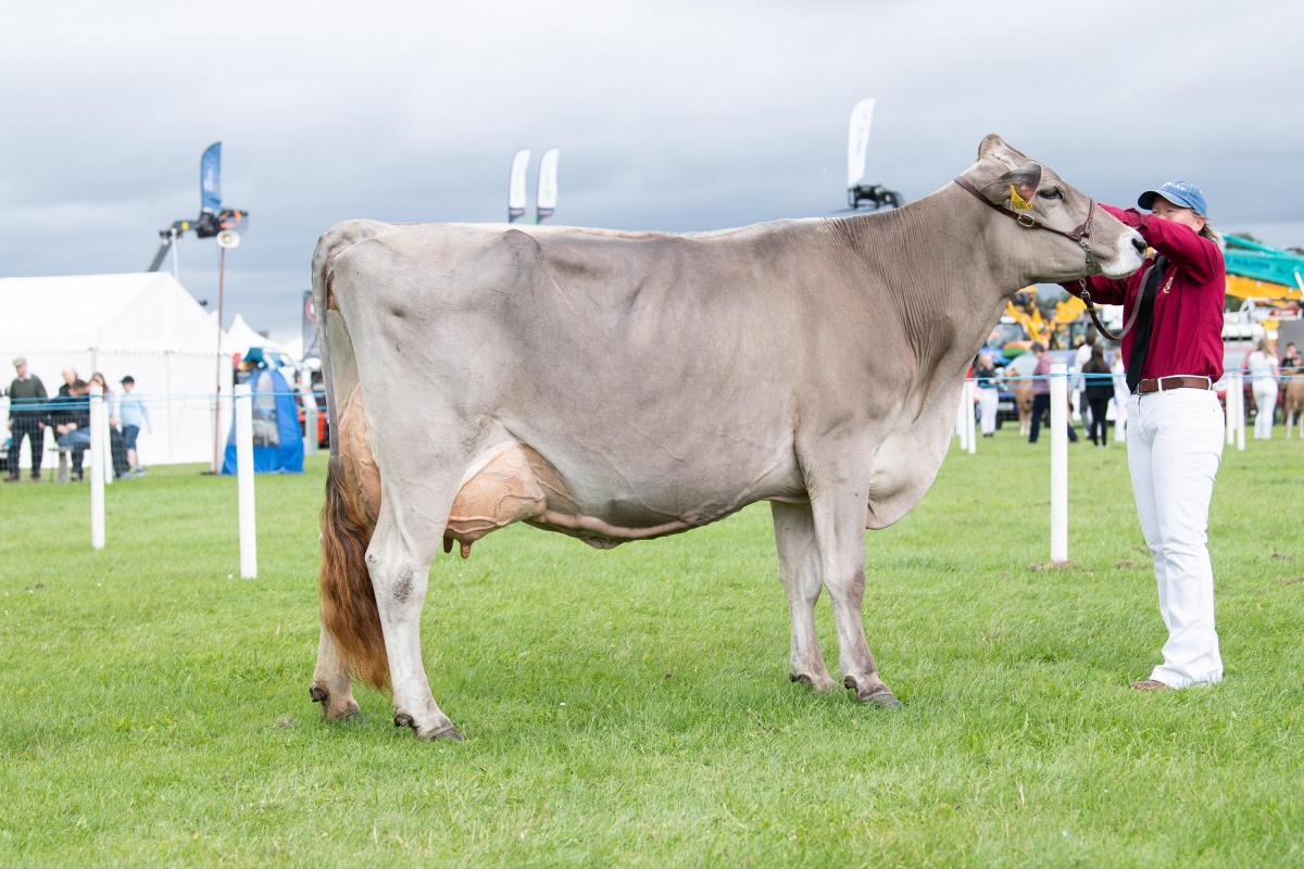 AOB champion was the Brown Swiss from Ronald Miller Ref:RH060822075  Rob Haining / The Scottish Farmer...