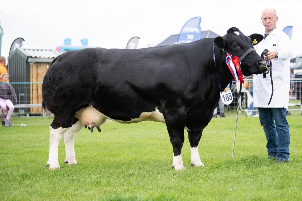 British Blue champion was from D and L Watret Ref:RH060822082  Rob Haining / The Scottish Farmer...