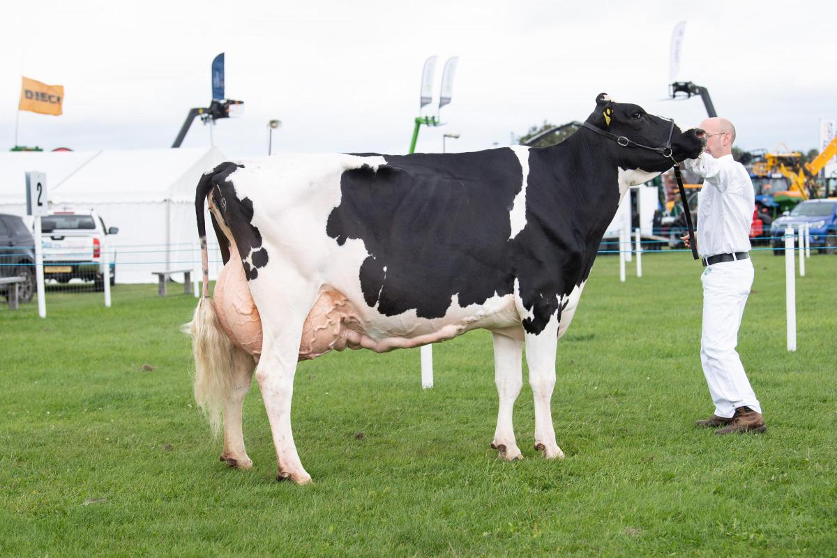 Holstein was the cow from B and V Davidson Ref:RH060822076  Rob Haining / The Scottish Farmer...