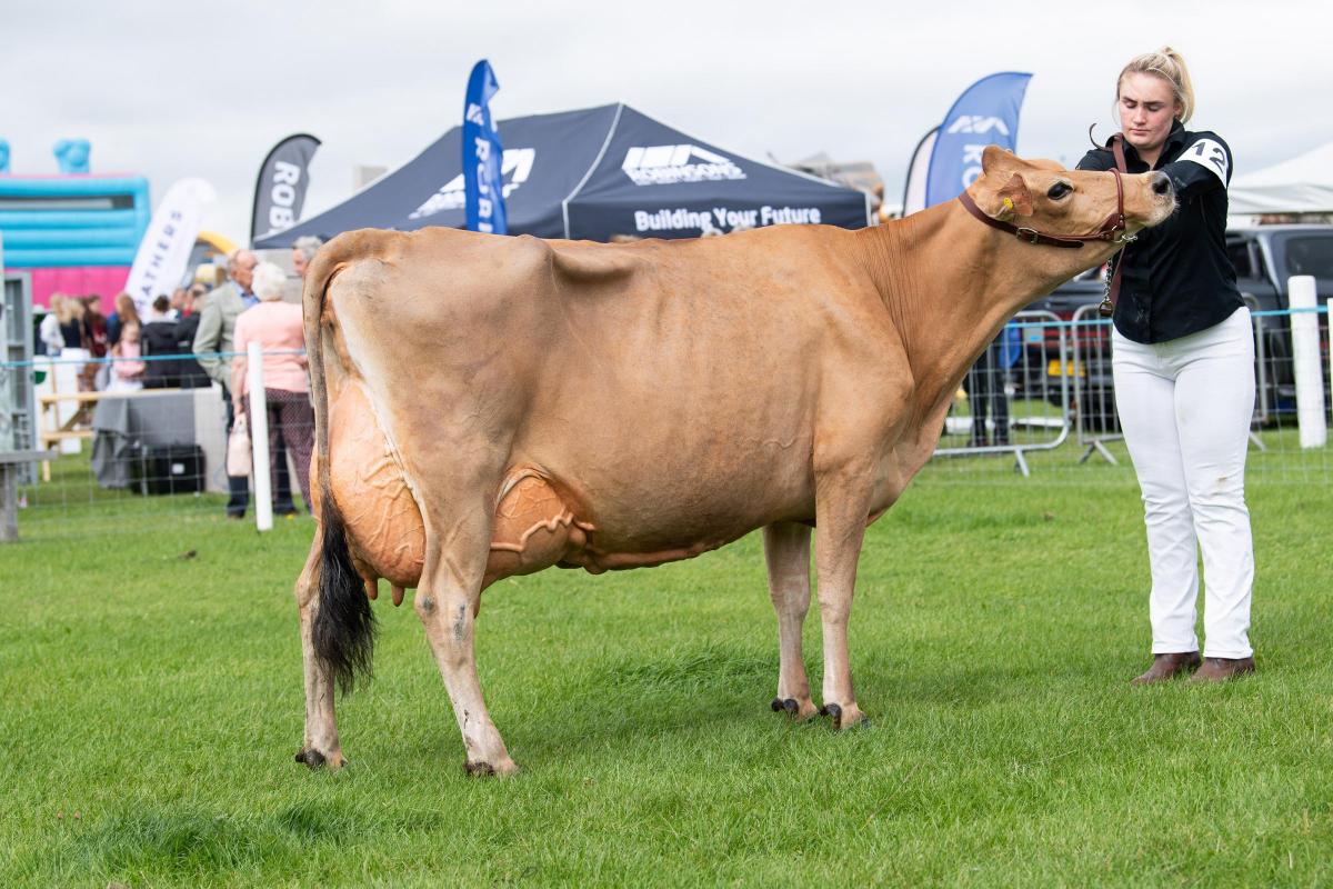 Inter-breed dairy champion was the Jersey from TA and ML Jackson and Daughters Ref:RH060822073  Rob Haining / The Scottish Farmer...