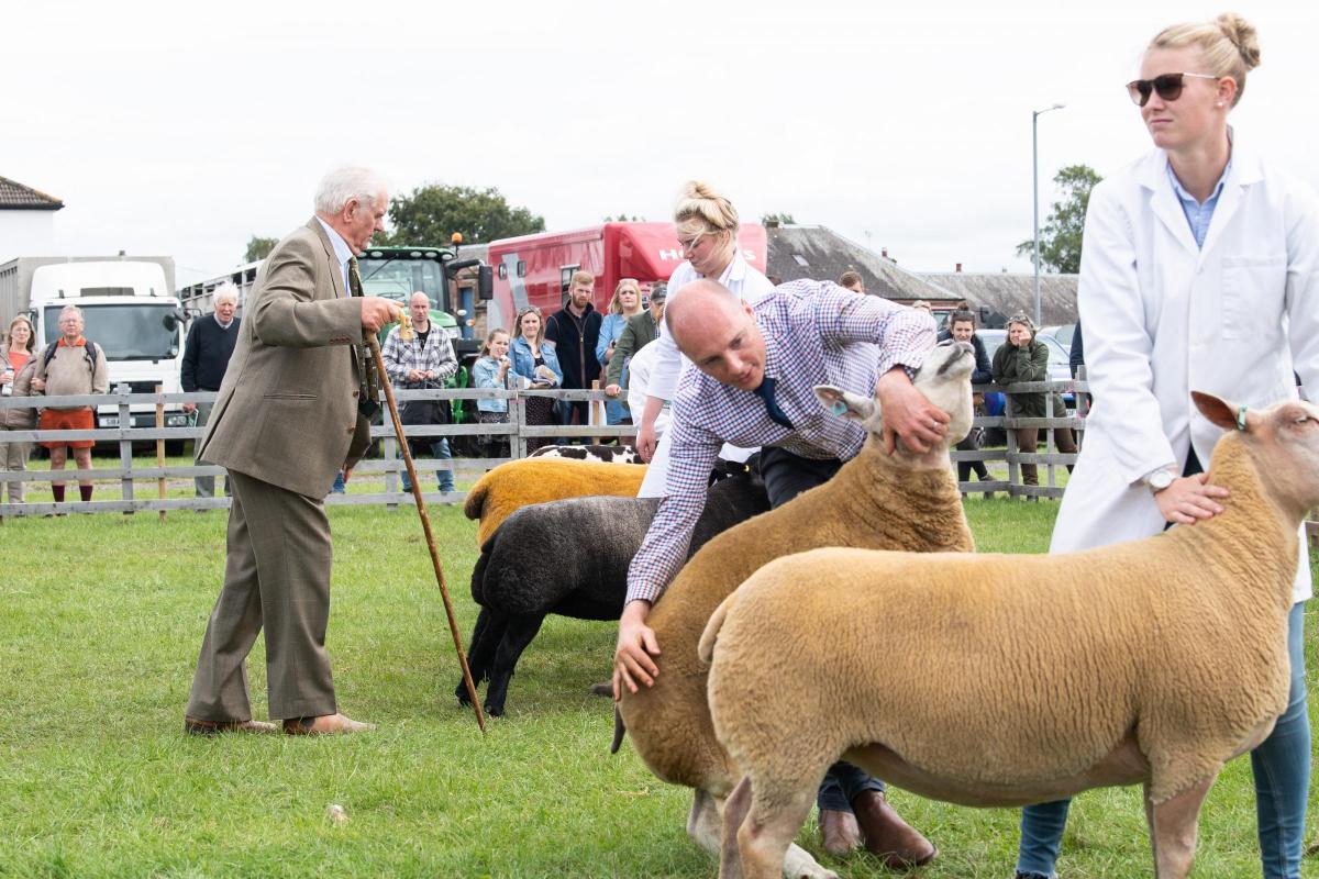 Kenny Sutherland casts his eye over the breed champions during the inter-breed championship at Dumfries show Ref:RH060822088  Rob Haining / The Scottish Farmer...