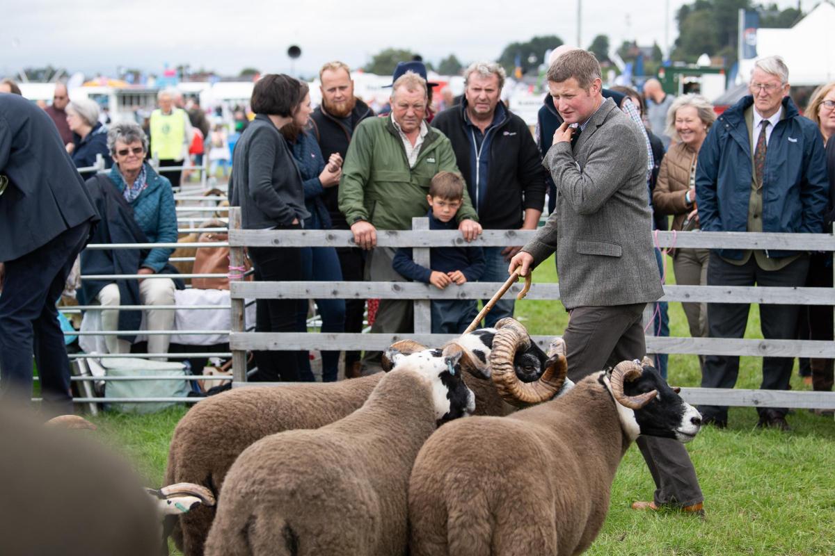 Quintin Dunlop ponders his thoughts during the judging of the Blackfaced sheep section at Dumfries  Ref:RH060822064  Rob Haining / The Scottish Farmer...
