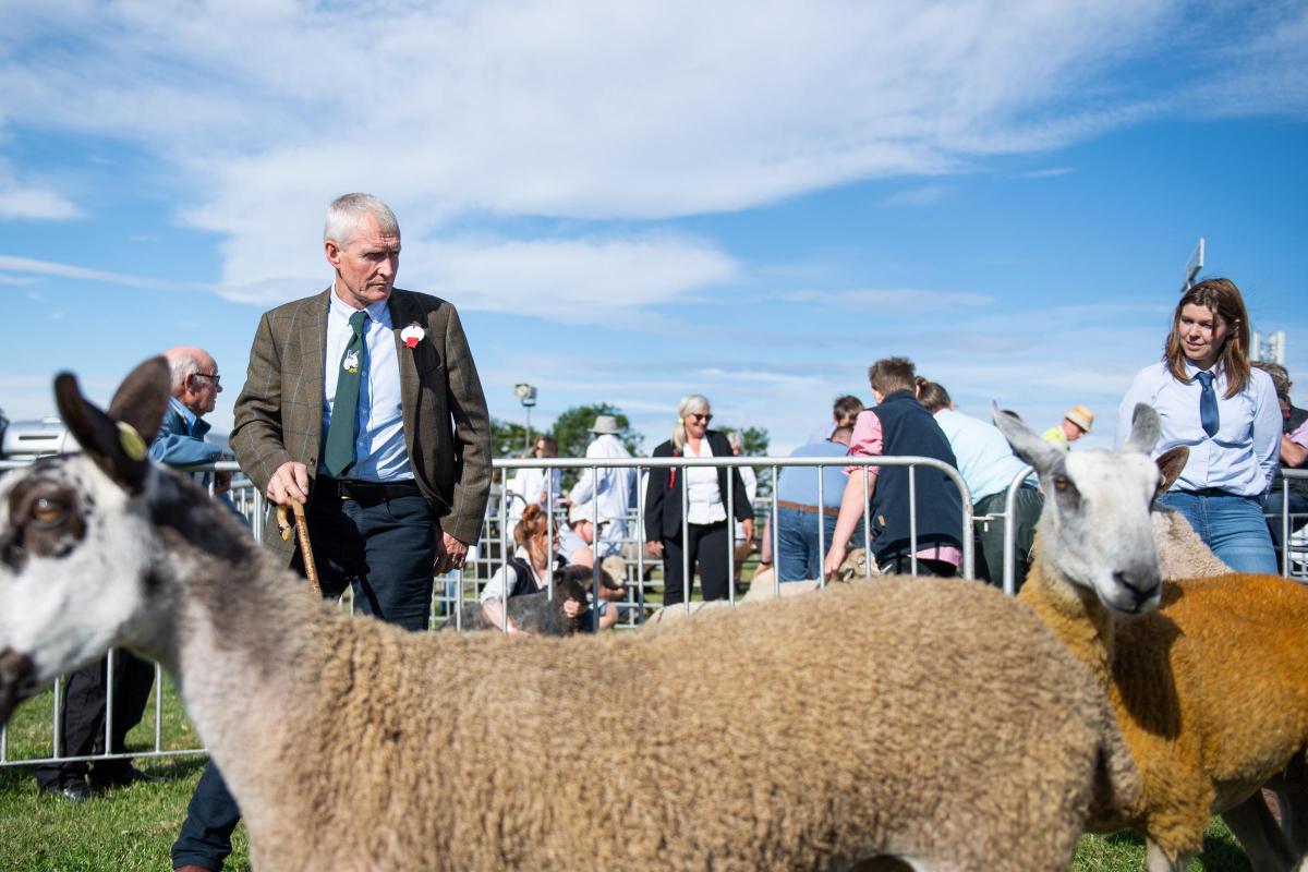 Blue skies and Blue Faced Leicester for judge Rodney Blackhall Ref:RH080822018  Rob Haining / The Scottish Farmer...