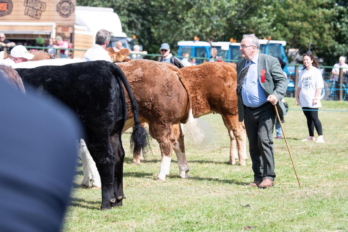 David Lowry Judging the junior cattle champion at Keith show Ref:RH080822037  Rob Haining / The Scottish Farmer...