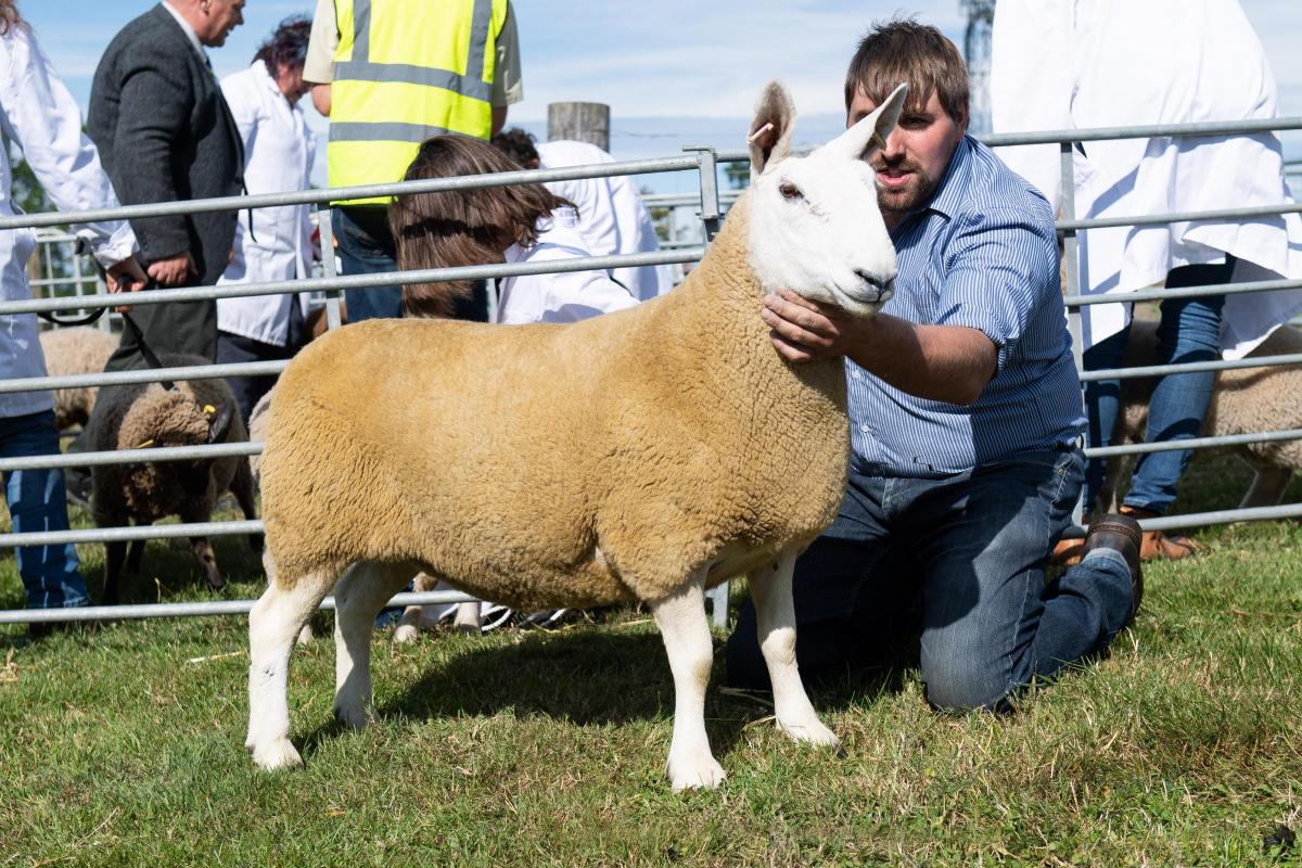 Non MV any other breed champion was the North Country Cheviot from the Browns Ref:RH080822021  Rob Haining / The Scottish Farmer...