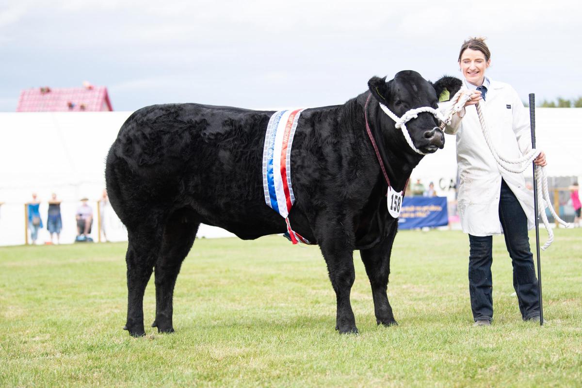 Scottish Beef Supreme Commercial champion was Sexyspice from Stuart and Lynsay Bett Ref:RH080822050  Rob Haining / The Scottish Farmer...