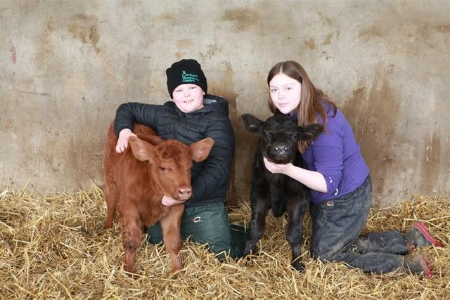 Brian Anderson (Co Armagh in Northern Ireland) - our  kids Josh and Lauren Anderson with two new born  pedigree Aberdeen Angus calves