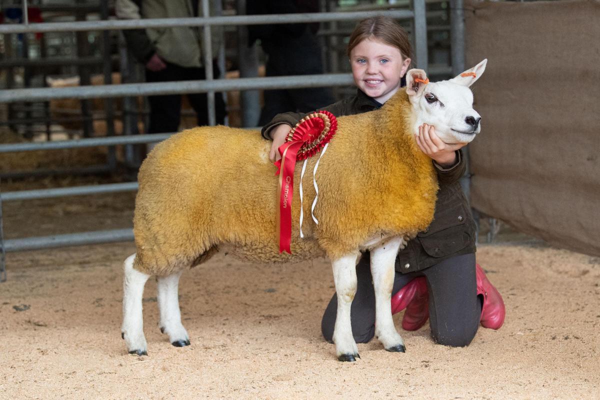Continental section winner was the Texel from Olivia Bowman Ref:RH030922173  Rob Haining / The Scottish Farmer...