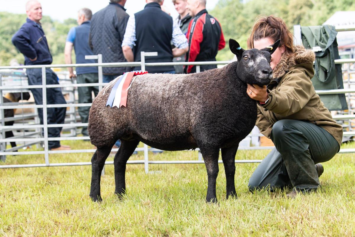 Any other breed champion was the Blue Texel from Ailsa Mcwilliam Ref:RH200822085  Rob Haining / The Scottish Farmer...