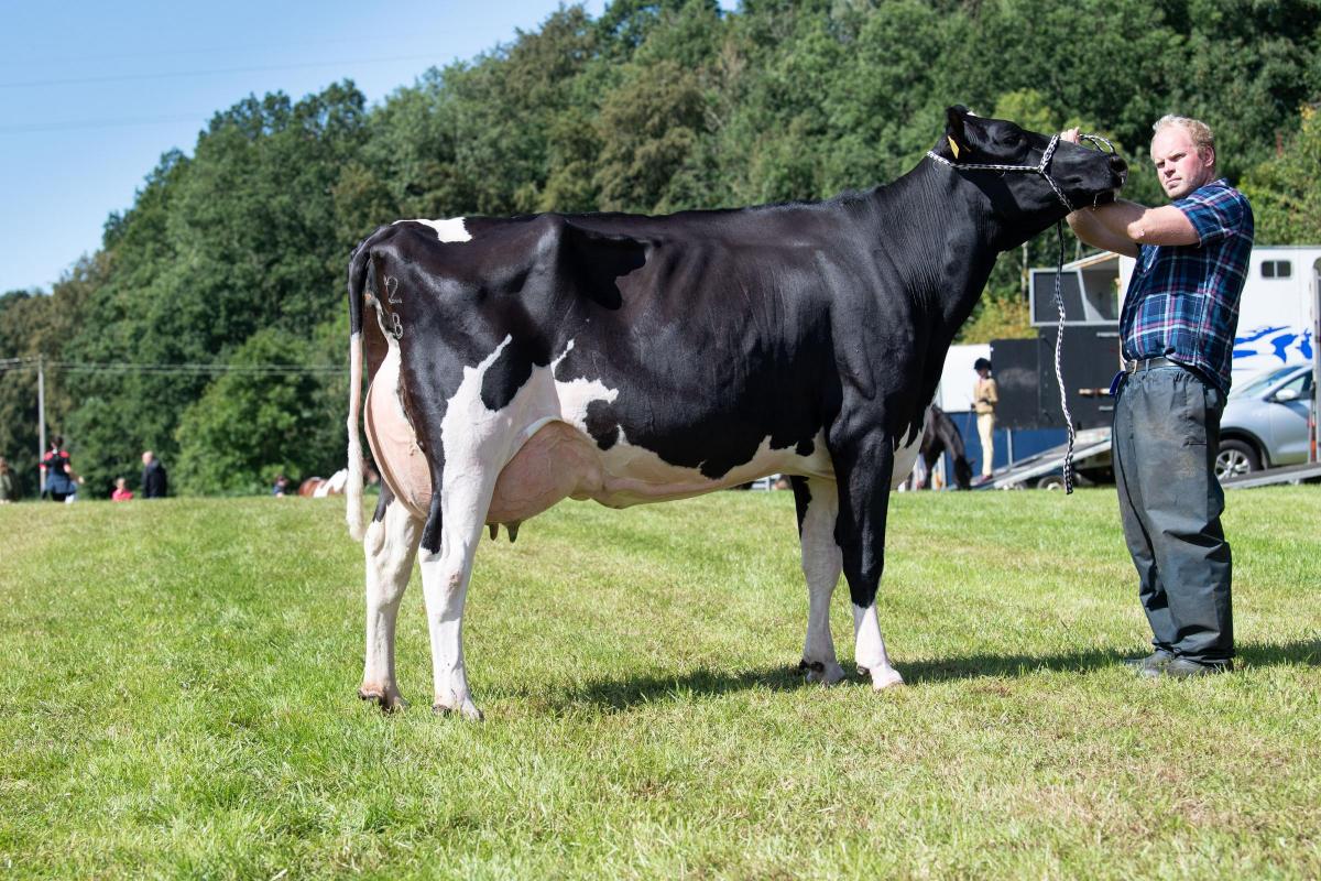 Overall dairy champion was the Holstein from the Kennedy family Ref:RH200822094  Rob Haining / The Scottish Farmer...
