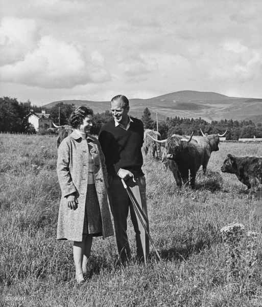 Early in his reign, he and Prince Philip tended the Highland cattle ranch, seen here.