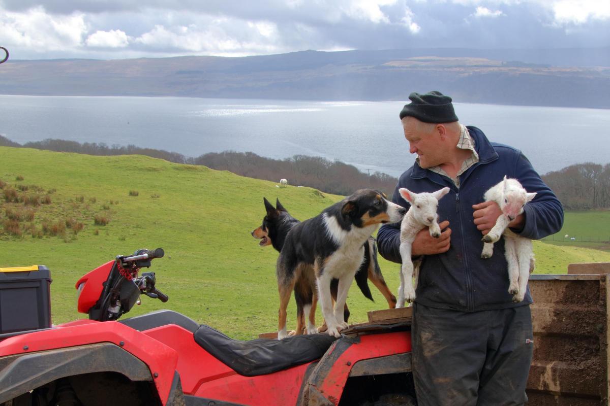 Rhonda at Drimnin Estate - On days like this we think 
Drimnin Farm Manager John has the best job. No traffic jams or road rage, and the most adorable workmates (Kelp and Luce)