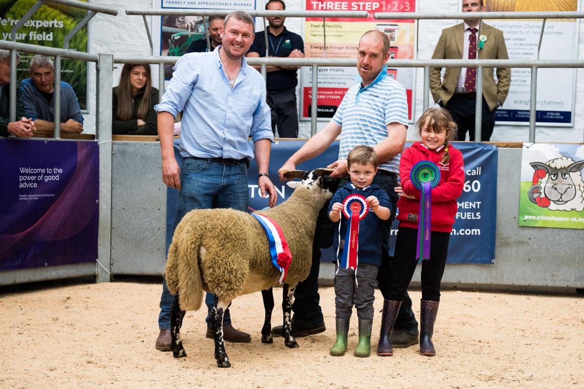 Overall sheep champion went to the blackie ewe from the Pole, Jock Jackson, Richie Smith, Ruaridh and Kayleigh Jackson Ref:RH030922186  Rob Haining / The Scottish Farmer...