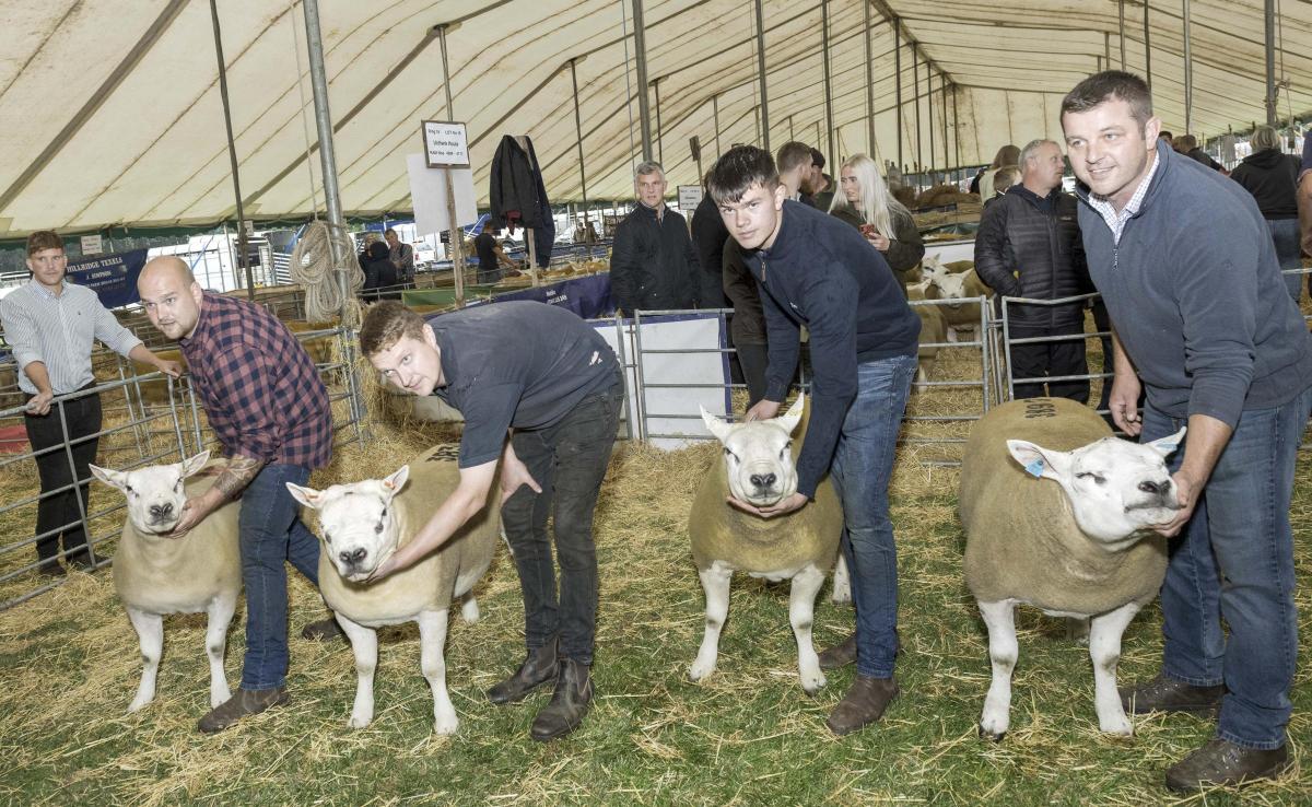 Border Livestock Exchange Show at Kelso Tup Sales 8th Sept 22.Winners Lto R First Bob Rennie, Second Glen Wilson, Third James Anderson and Fouthh Graham Cakebread