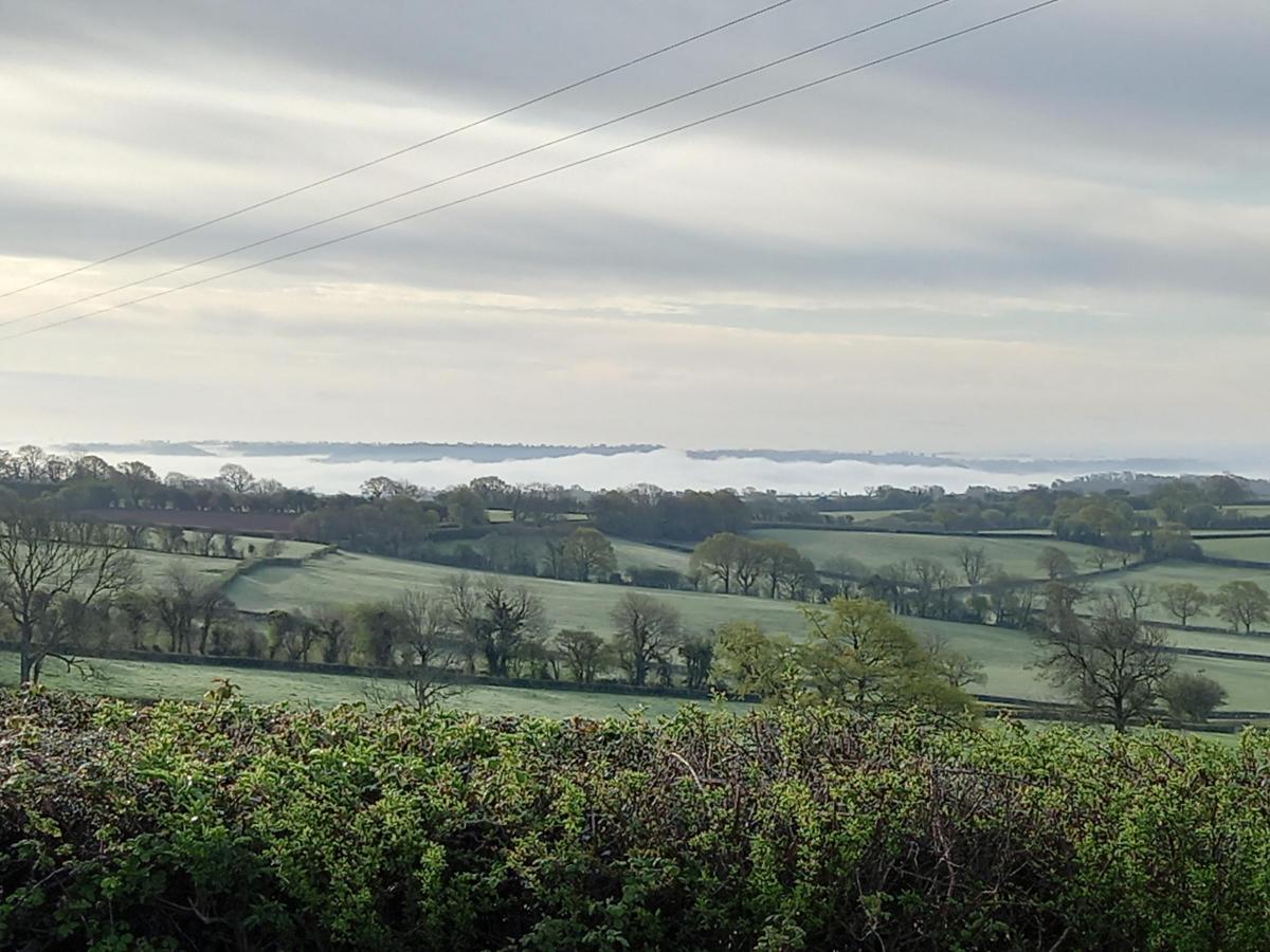 Brenda Wear (North Somerset) - looking to the Mendip hills and beyond