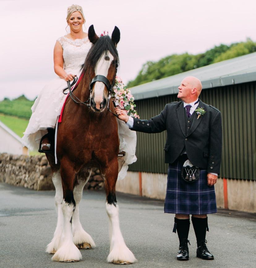 Love me ... love my Clydesdale for the new Mr and Mrs Heather and Neil Gilliland