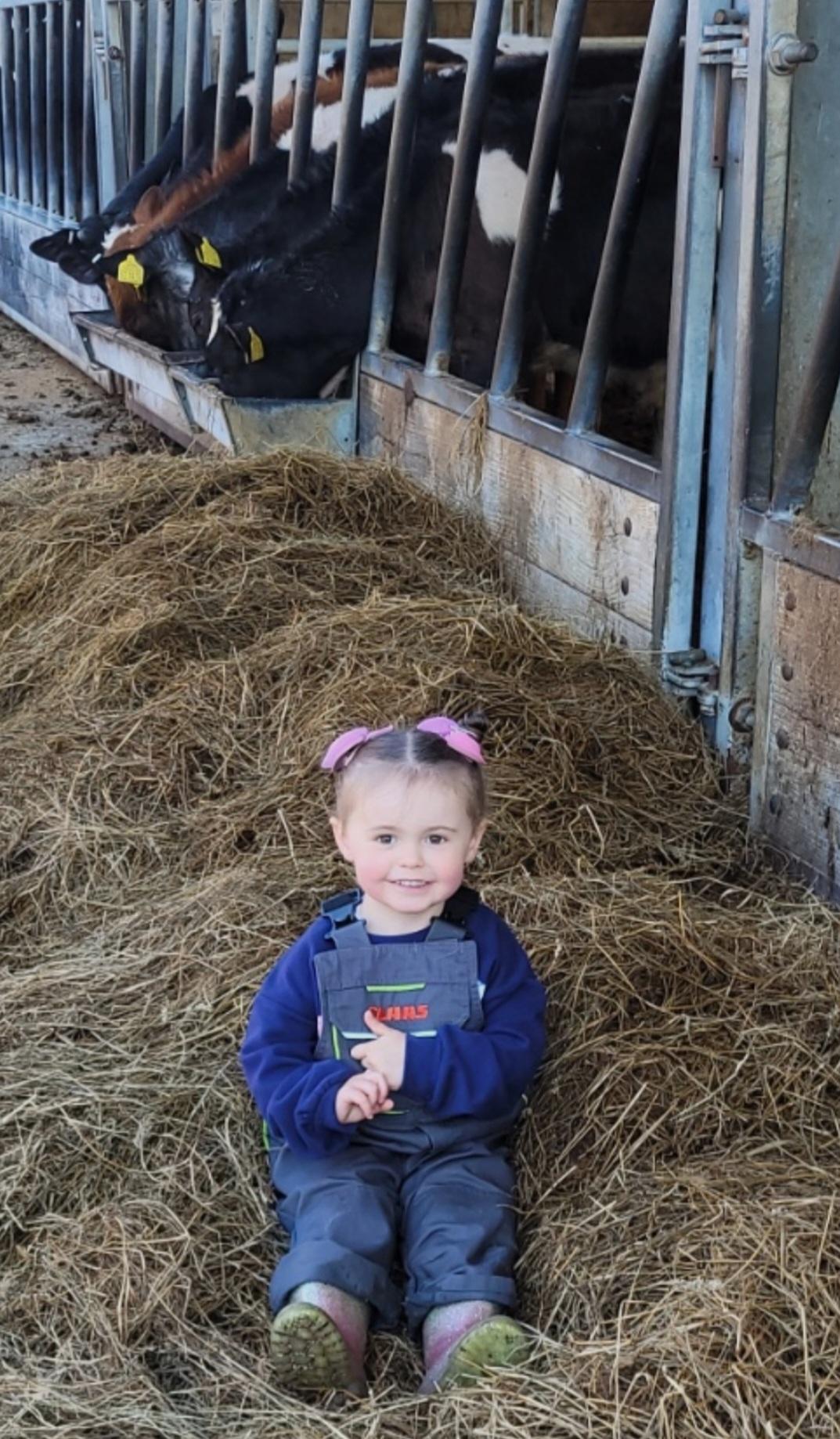 Jenna Carmichael - Esther Carmichael, 3, having a rest after feeding her cows at Macmanniston Farm