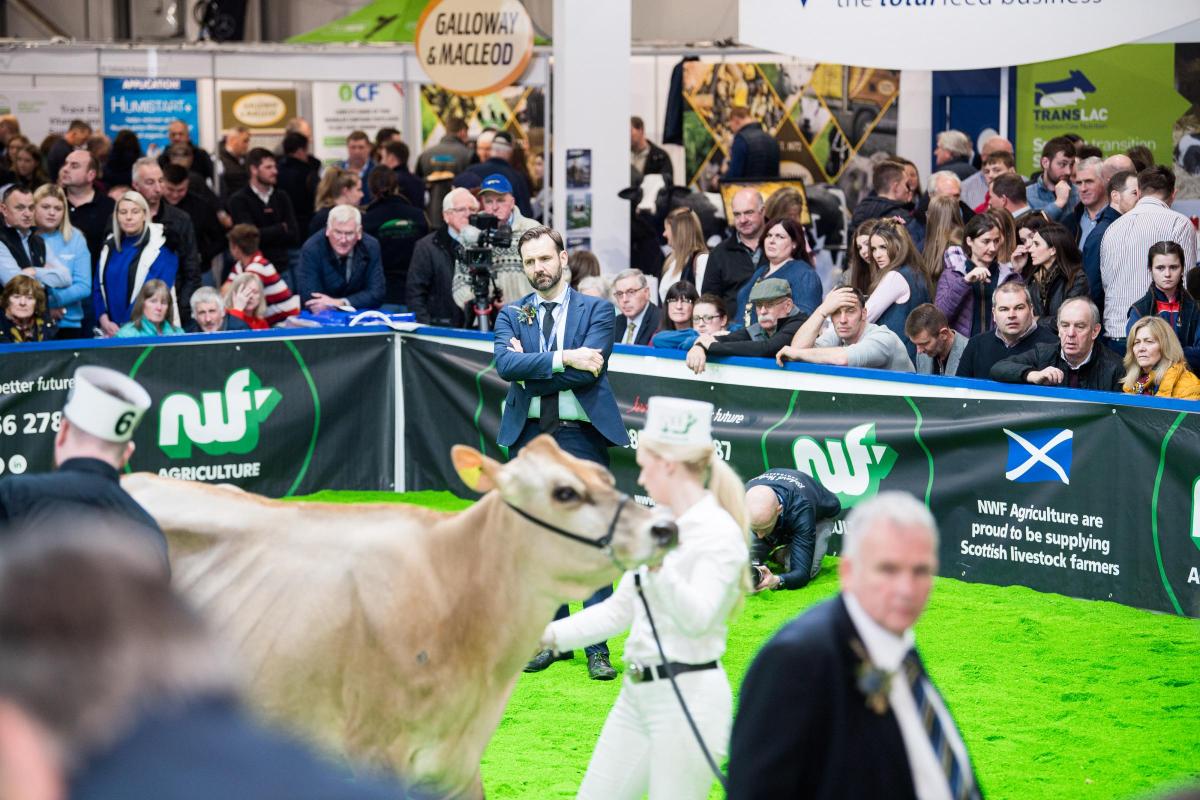 Crowds watch on at AgriScot Ref: RH161122082 Rob Haining The Scottish Farmer